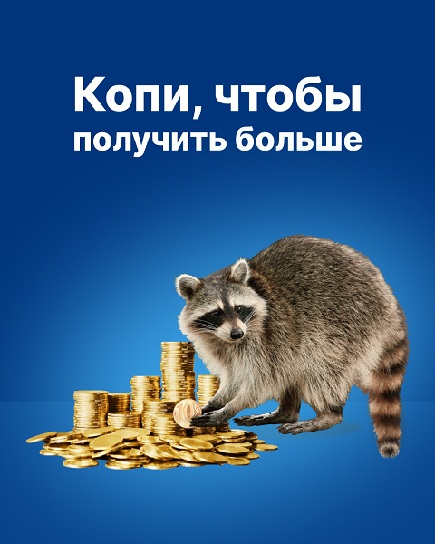 слайдер 6